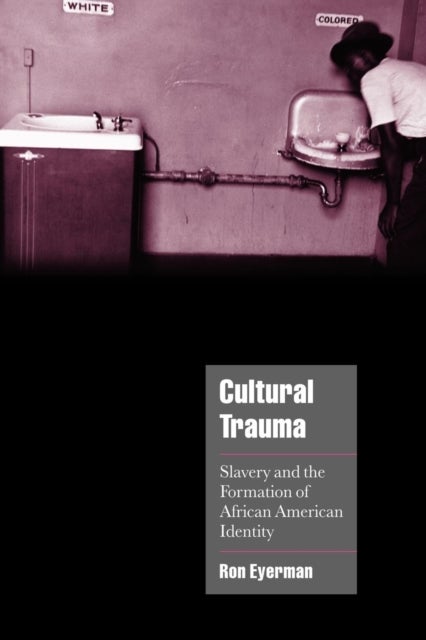 Cultural Trauma - Slavery and the Formation of African American Identity