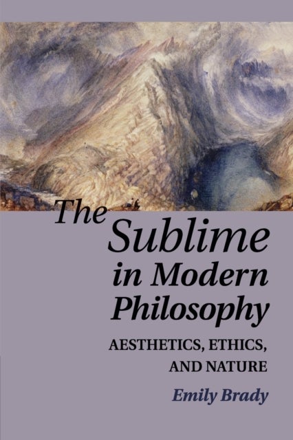 The Sublime in Modern Philosophy - Aesthetics, Ethics, and Nature