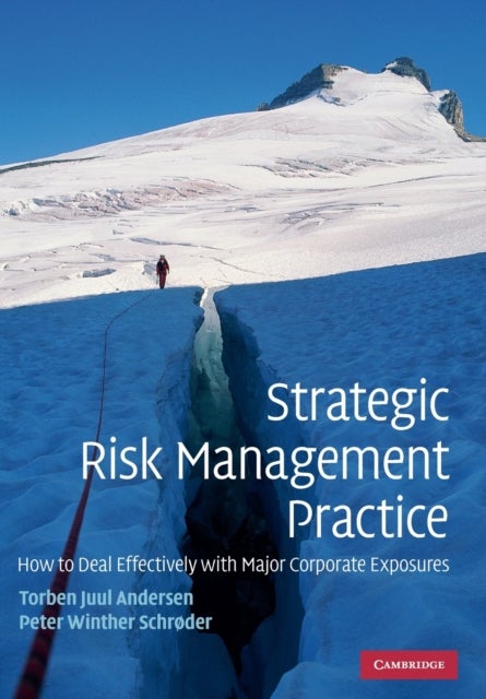 Strategic Risk Management Practice - How to Deal Effectively with Major Corporate Exposures