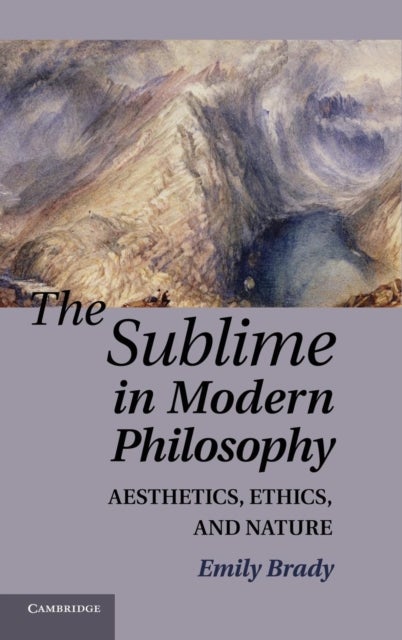 The Sublime in Modern Philosophy - Aesthetics, Ethics, and Nature