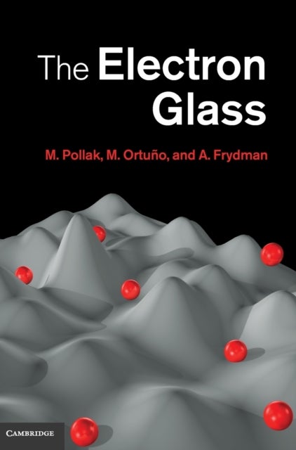 The Electron Glass