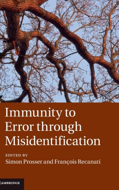Immunity to Error through Misidentification - New Essays