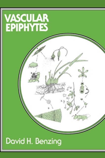 Vascular Epiphytes - General Biology and Related Biota