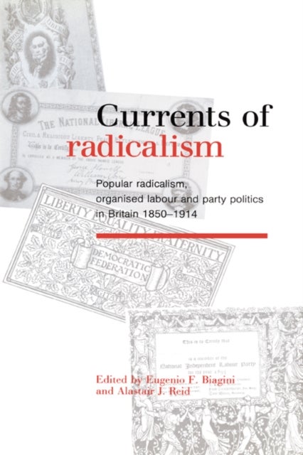 Currents of Radicalism - Popular Radicalism, Organised Labour and Party Politics in Britain, 1850–1914