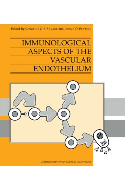 Immunological Aspects of the Vascular Endothelium
