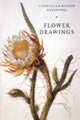 Flower Drawings