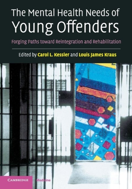 The Mental Health Needs of Young Offenders - Forging Paths toward Reintegration and Rehabilitation
