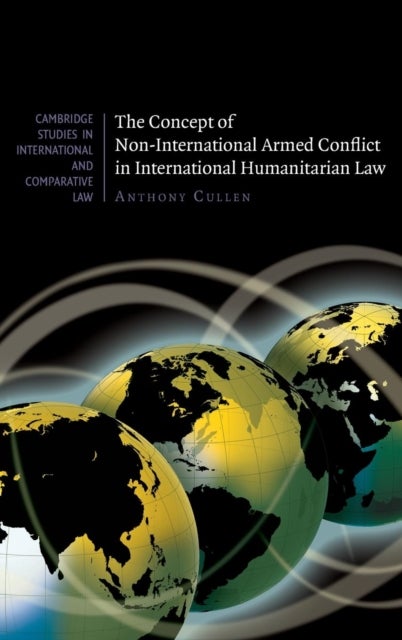 The Concept of Non-International Armed Conflict in International Humanitarian Law