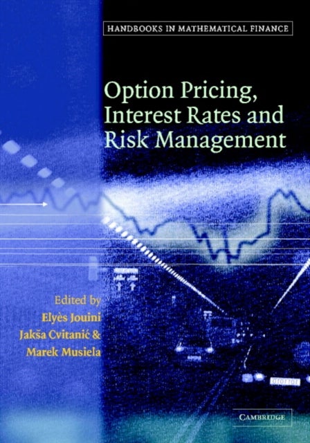 Handbooks in Mathematical Finance - Option Pricing, Interest Rates and Risk Management