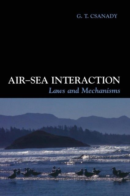 Air-Sea Interaction - Laws and Mechanisms