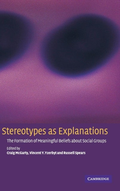 Stereotypes as Explanations - The Formation of Meaningful Beliefs about Social Groups