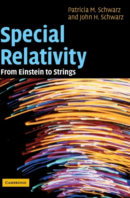 Special Relativity - From Einstein to Strings