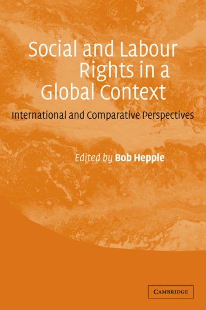 Social and Labour Rights in a Global Context - International and Comparative Perspectives