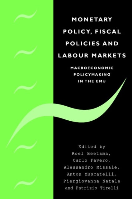 Monetary Policy, Fiscal Policies and Labour Markets - Macroeconomic Policymaking in the EMU