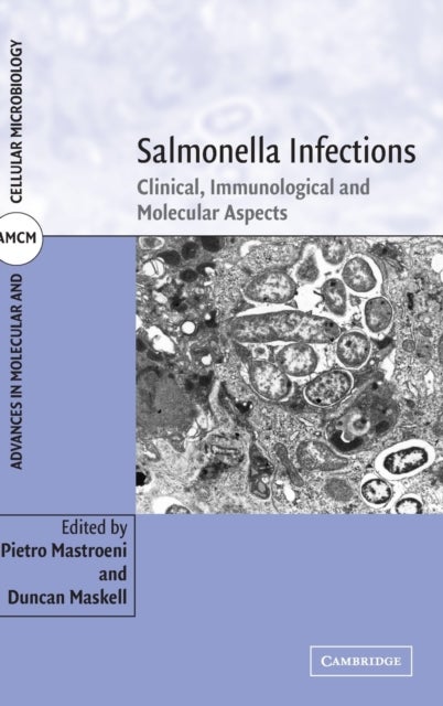 Salmonella Infections - Clinical, Immunological and Molecular Aspects