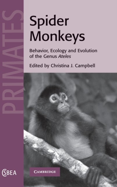 Spider Monkeys - Behavior, Ecology and Evolution of the Genus Ateles