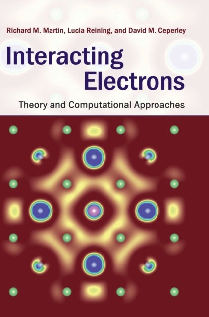 Interacting Electrons - Theory and Computational Approaches