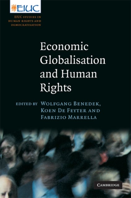 Economic Globalisation and Human Rights - EIUC Studies on Human Rights and Democratization