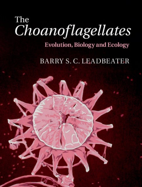 The Choanoflagellates - Evolution, Biology and Ecology