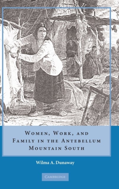 Women, Work and Family in the Antebellum Mountain South