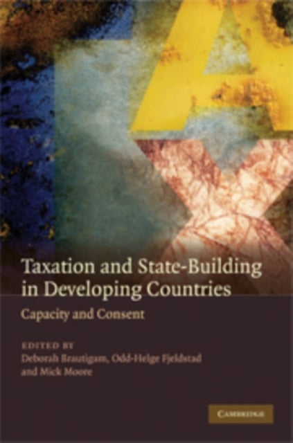 Taxation and State-Building in Developing Countries - Capacity and Consent