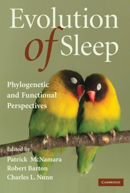 Evolution of Sleep - Phylogenetic and Functional Perspectives
