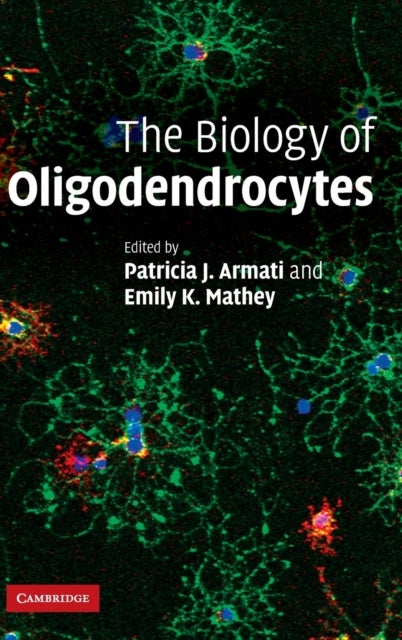 The Biology of Oligodendrocytes