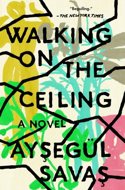 Walking on the Ceiling - A Novel