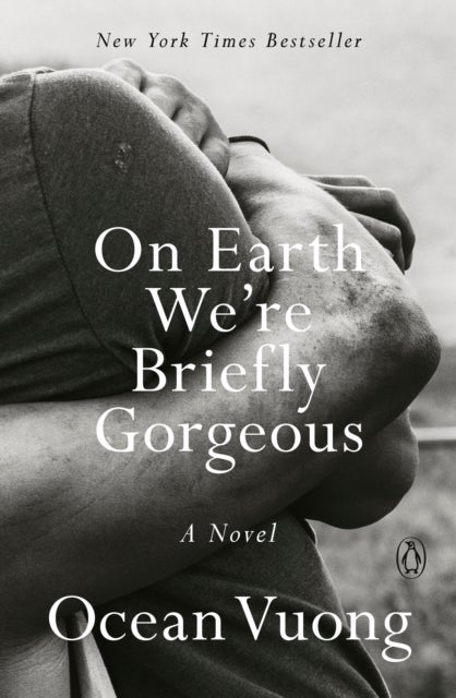 On Earth We're Briefly Gorgeous - A Novel