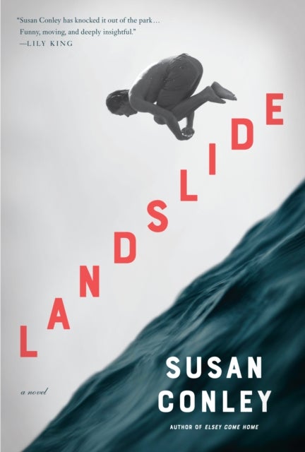 Landslide - A Novel