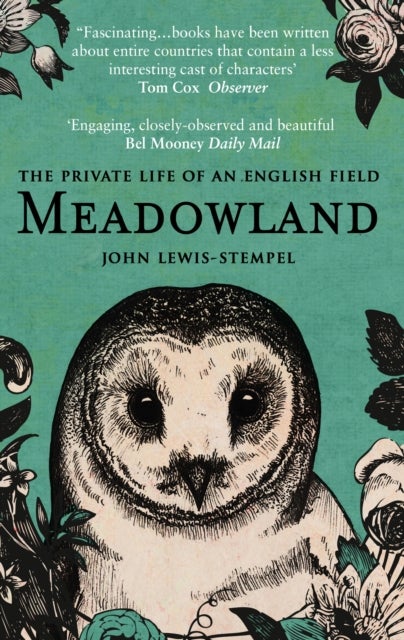 Meadowland - the private life of an English field