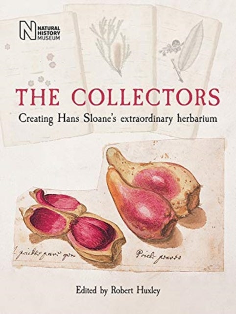The Collectors - Creating Hans Sloane's Extraordinary Herbarium