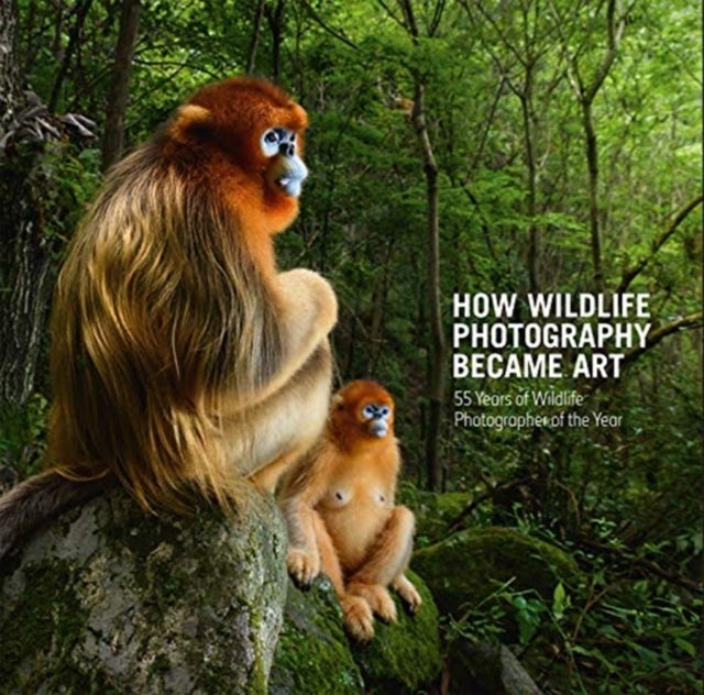 How Wildlife Photography Became Art - 55 Years of Wildlife Photographer of the Year
