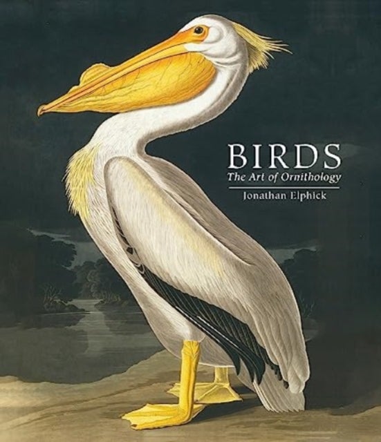 Birds - The Art of Ornithology (Pocket edition)