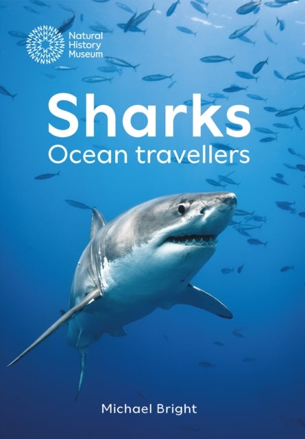 Sharks - Ocean Travellers