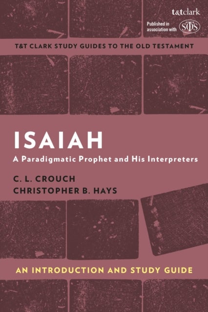Isaiah: An Introduction and Study Guide - A Paradigmatic Prophet and His Interpreters