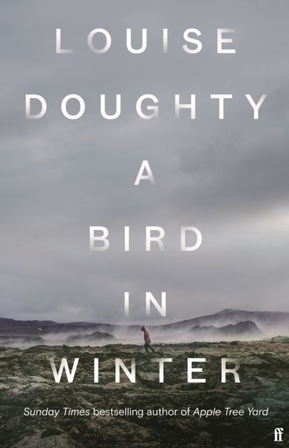 A Bird in Winter - 'Nail-bitingly tense and compelling' Paula Hawkins