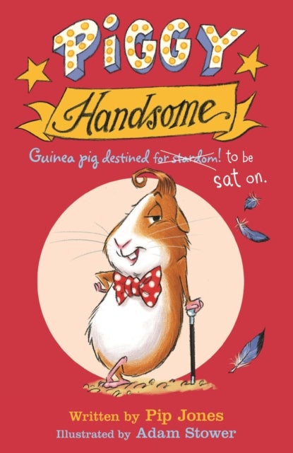 Piggy Handsome - Guinea Pig Destined for Stardom!