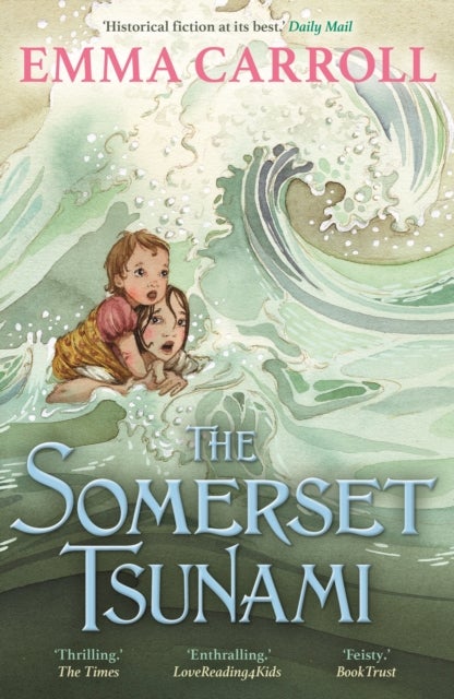 The Somerset Tsunami - 'The Queen of historical fiction.' Guardian