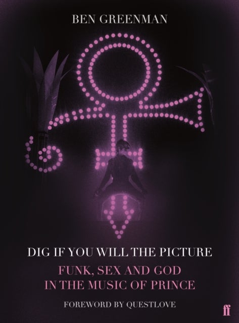 Dig If You Will The Picture - Funk, Sex and God in the Music of Prince