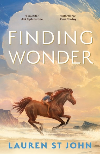 Finding Wonder - An unforgettable adventure from The One Dollar Horse author