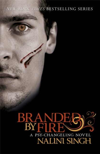 Branded by Fire - Book 6