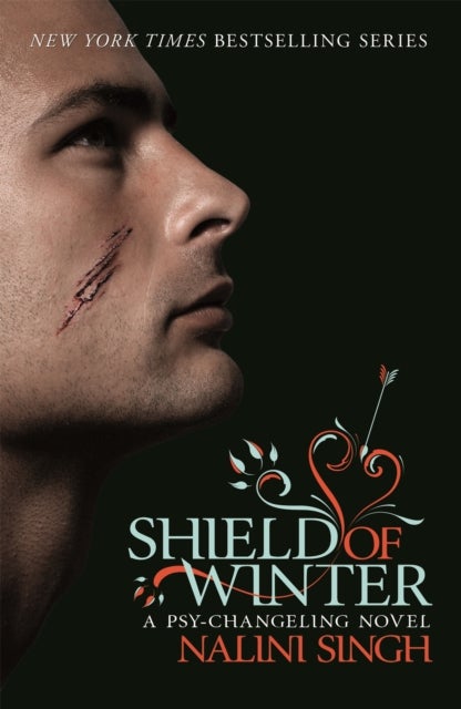 Shield of Winter - Book 13