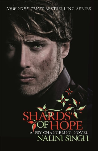 Shards of Hope - Book 14