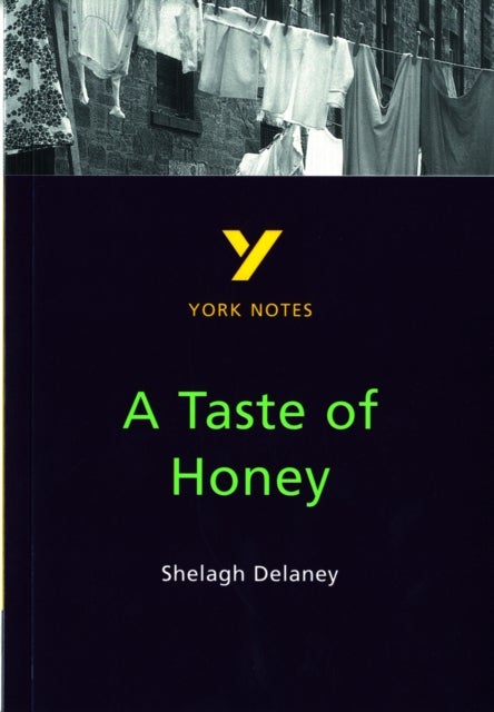A Taste of Honey everything you need to catch up, study and prepare for the 2025 and 2026 exams