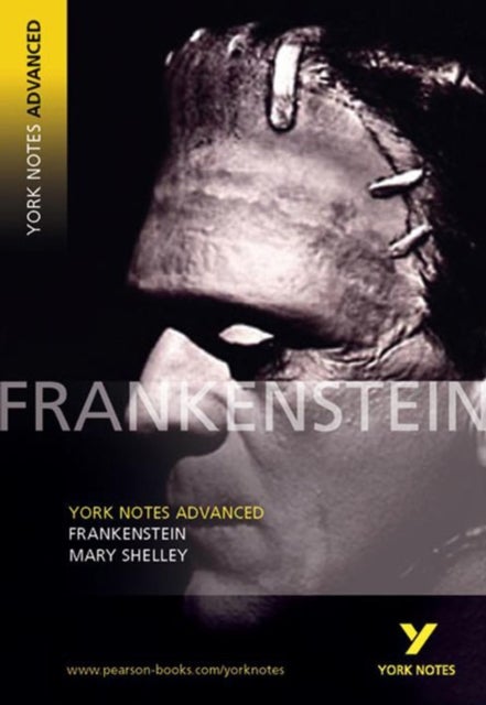 YNA2 Frankenstein everything you need to catch up, study and prepare for the 2025 and 2026 exams - York Notes Series