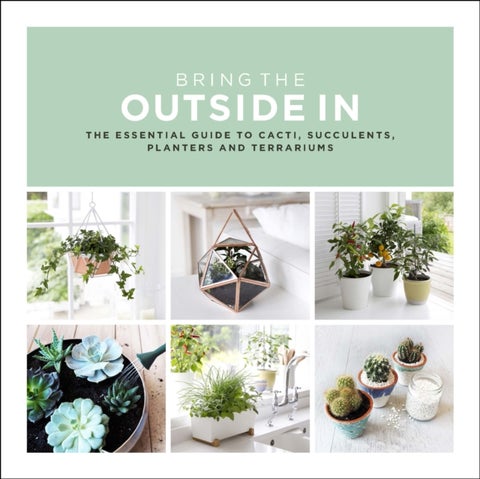 Bring The Outside In - The Essential Guide to Cacti, Succulents, Planters and Terrariums
