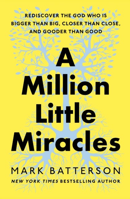 A Million Little Miracles - Rediscover the God Who Is Bigger Than Big, Closer Than Close, and Gooder Than Good