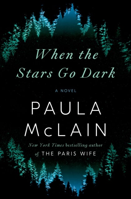 When the Stars Go Dark - A Novel