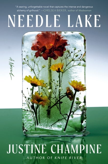 Needle Lake - A Novel